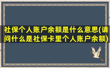 社保个人账户余额是什么意思(请问什么是社保卡里个人账户余额)