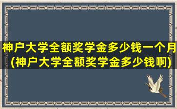 神户大学全额奖学金多少钱一个月(神户大学全额奖学金多少钱啊)