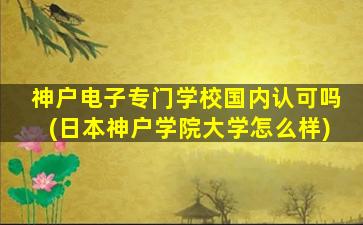 神户电子专门学校国内认可吗(日本神户学院大学怎么样)