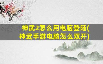 神武2怎么用电脑登陆(神武手游电脑怎么双开)