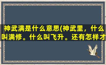 神武满是什么意思(神武里，什么叫满修。什么叫飞升。还有怎样才能满修。怎样才能飞升)