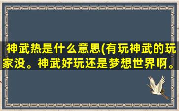 神武热是什么意思(有玩神武的玩家没。神武好玩还是梦想世界啊。求指点)