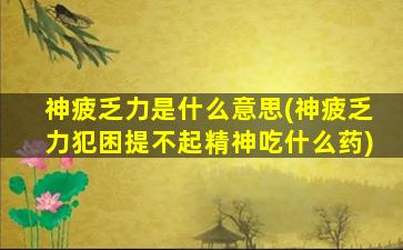 神疲乏力是什么意思(神疲乏力犯困提不起精神吃什么药)