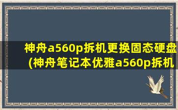 神舟a560p拆机更换固态硬盘(神舟笔记本优雅a560p拆机)