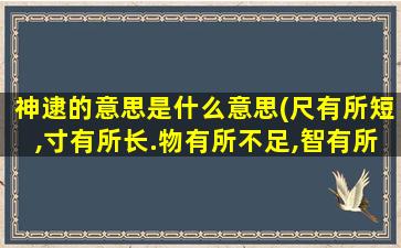 神逮的意思是什么意思(尺有所短,寸有所长.物有所不足,智有所不明.是什么意思)