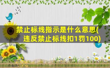 禁止标线指示是什么意思(违反禁止标线扣1罚100)