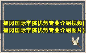 福冈国际学院优势专业介绍视频(福冈国际学院优势专业介绍图片)