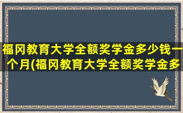 福冈教育大学全额奖学金多少钱一个月(福冈教育大学全额奖学金多少钱啊)