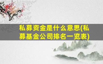 私募资金是什么意思(私募基金公司排名一览表)