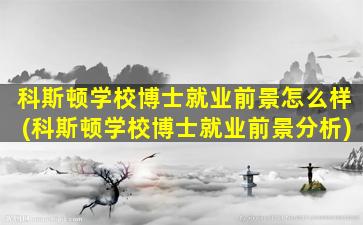 科斯顿学校博士就业前景怎么样(科斯顿学校博士就业前景分析)