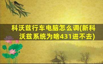 科沃兹行车电脑怎么调(新科沃兹系统为啥431进不去)