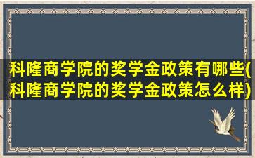 科隆商学院的奖学金政策有哪些(科隆商学院的奖学金政策怎么样)