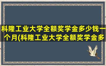 科隆工业大学全额奖学金多少钱一个月(科隆工业大学全额奖学金多少钱啊)