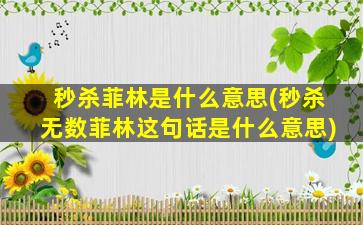 秒杀菲林是什么意思(秒杀无数菲林这句话是什么意思)