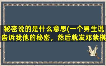 秘密说的是什么意思(一个男生说告诉我他的秘密，然后就发邓紫棋《我的秘密》让我听，是什么意思)