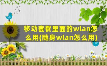 移动套餐里面的wlan怎么用(随身wlan怎么用)