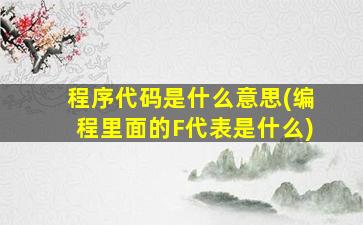 程序代码是什么意思(编程里面的F代表是什么)