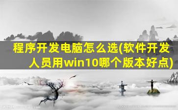 程序开发电脑怎么选(软件开发人员用win10哪个版本好点)