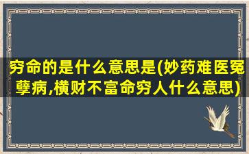 穷命的是什么意思是(妙药难医冤孽病,横财不富命穷人什么意思)