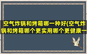 空气炸锅和烤箱哪一种好(空气炸锅和烤箱哪个更实用哪个更健康一些)