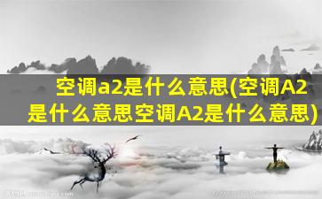 空调a2是什么意思(空调A2是什么意思空调A2是什么意思)