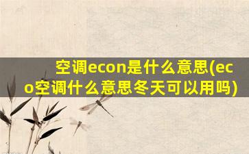 空调econ是什么意思(eco空调什么意思冬天可以用吗)