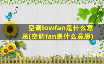 空调lowfan是什么意思(空调fan是什么意思)