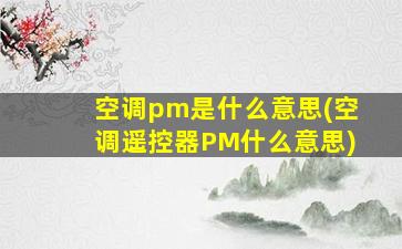 空调pm是什么意思(空调遥控器PM什么意思)