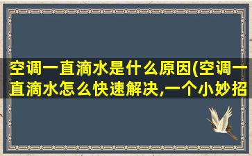 空调一直滴水是什么原因(空调一直滴水怎么快速解决,一个小妙招你不能不知道...)