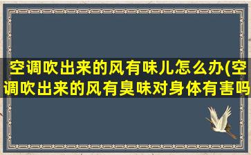 空调吹出来的风有味儿怎么办(空调吹出来的风有臭味对身体有害吗)