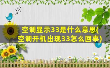 空调显示33是什么意思(空调开机出现33怎么回事)