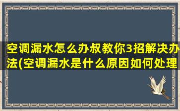 空调漏水怎么办叔教你3招解决办法(空调漏水是什么原因如何处理)