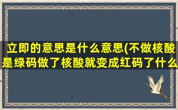 立即的意思是什么意思(不做核酸是绿码做了核酸就变成红码了什么意思呢)