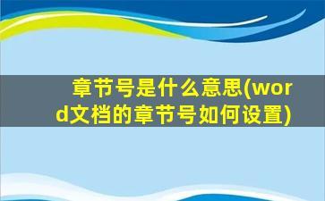 章节号是什么意思(word文档的章节号如何设置)