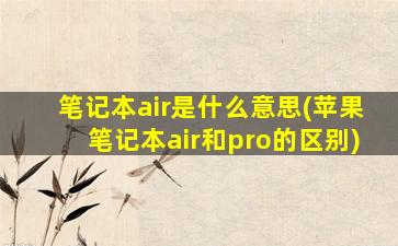 笔记本air是什么意思(苹果笔记本air和pro的区别)