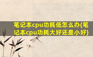 笔记本cpu功耗低怎么办(笔记本cpu功耗大好还是小好)