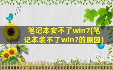 笔记本安不了win7(笔记本装不了win7的原因)