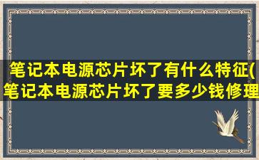 笔记本电源芯片坏了有什么特征(笔记本电源芯片坏了要多少钱修理)