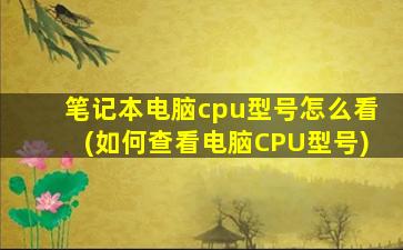 笔记本电脑cpu型号怎么看(如何查看电脑CPU型号)