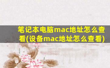 笔记本电脑mac地址怎么查看(设备mac地址怎么查看)