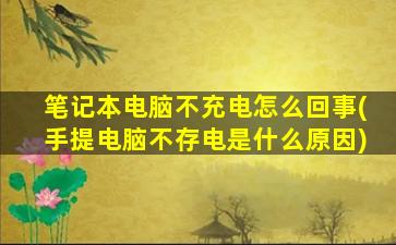 笔记本电脑不充电怎么回事(手提电脑不存电是什么原因)