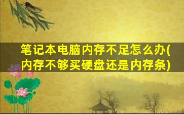 笔记本电脑内存不足怎么办(内存不够买硬盘还是内存条)