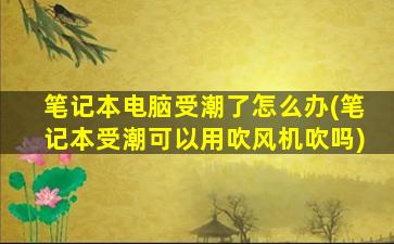 笔记本电脑受潮了怎么办(笔记本受潮可以用吹风机吹吗)