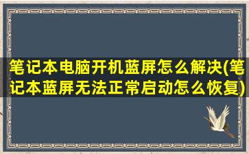 笔记本电脑开机蓝屏怎么解决(笔记本蓝屏无法正常启动怎么恢复)