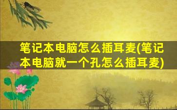 笔记本电脑怎么插耳麦(笔记本电脑就一个孔怎么插耳麦)