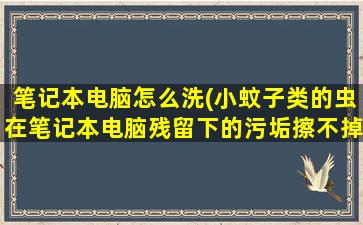 笔记本电脑怎么洗(小蚊子类的虫在笔记本电脑残留下的污垢擦不掉怎么办)