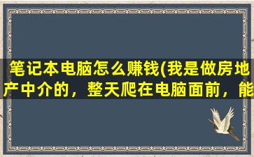 笔记本电脑怎么赚钱(我是做房地产中介的，整天爬在电脑面前，能搞点什么副业赚钱啊)