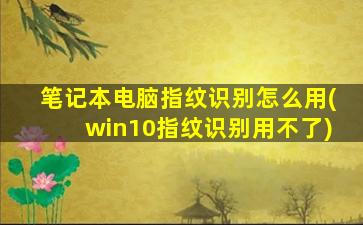 笔记本电脑指纹识别怎么用(win10指纹识别用不了)