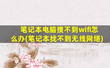 笔记本电脑搜不到wifi怎么办(笔记本找不到无线网络)