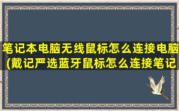 笔记本电脑无线鼠标怎么连接电脑(戴记严选蓝牙鼠标怎么连接笔记本)